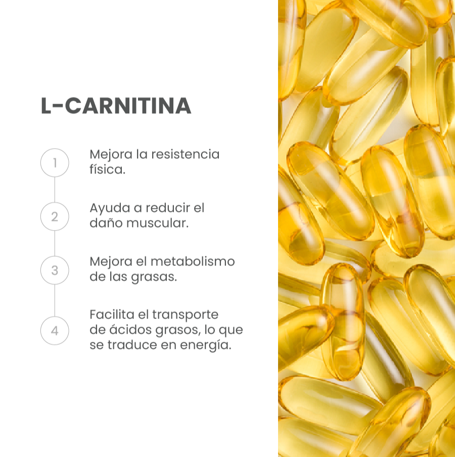 Ingrediente L-Carnitina